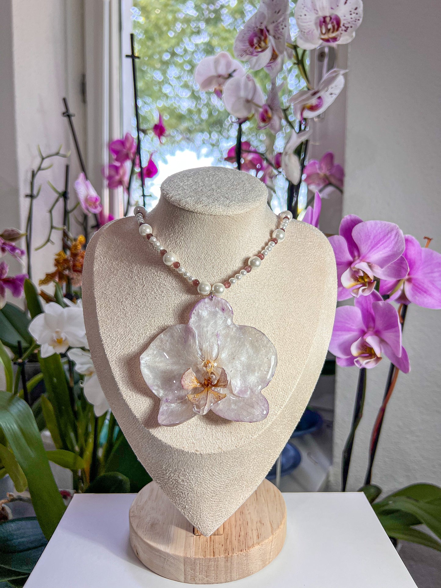 Elegancia Eterna.