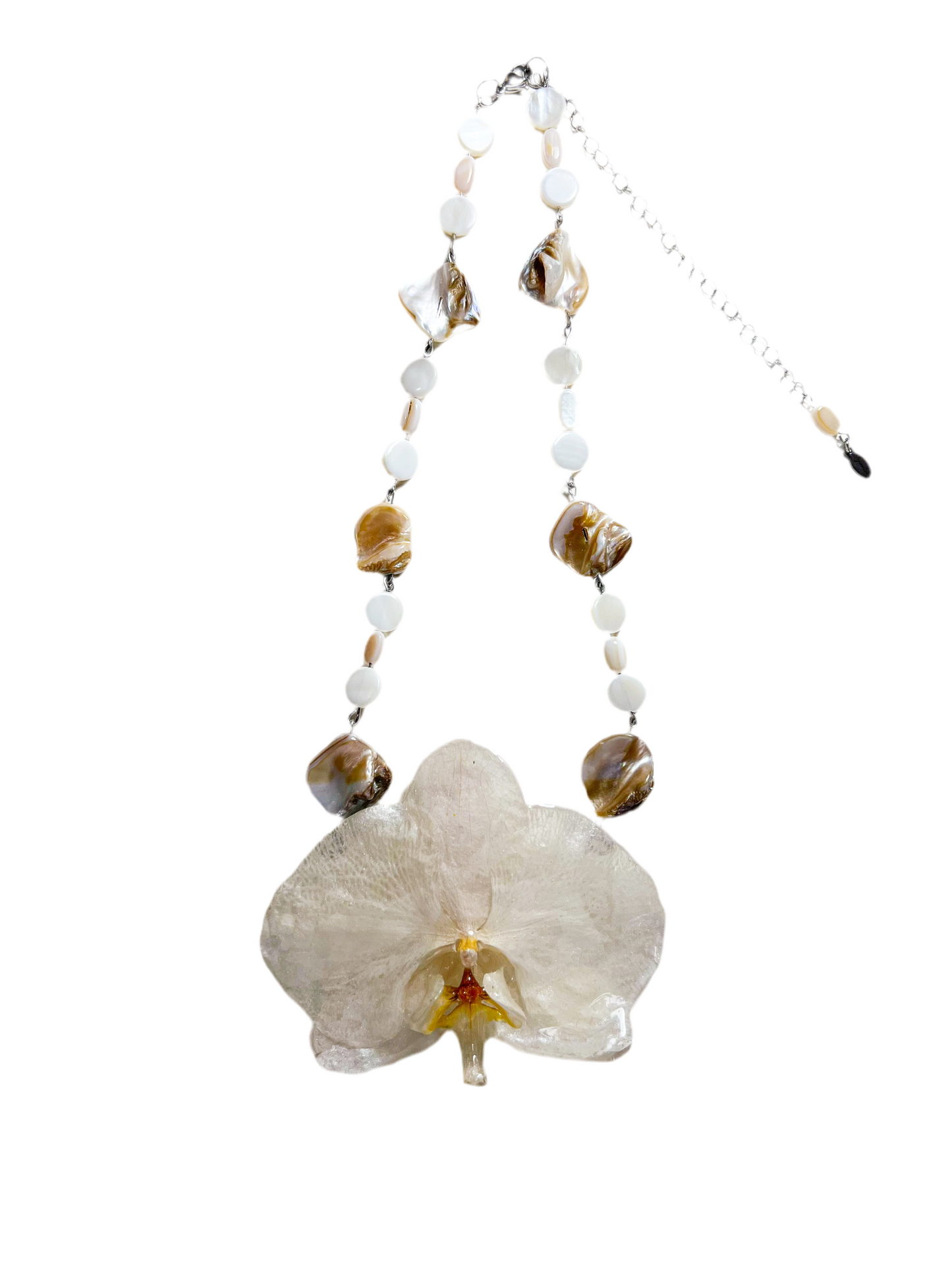 Orquídea Imperial