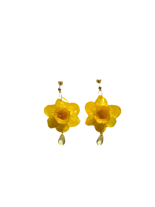 Luz de Narciso