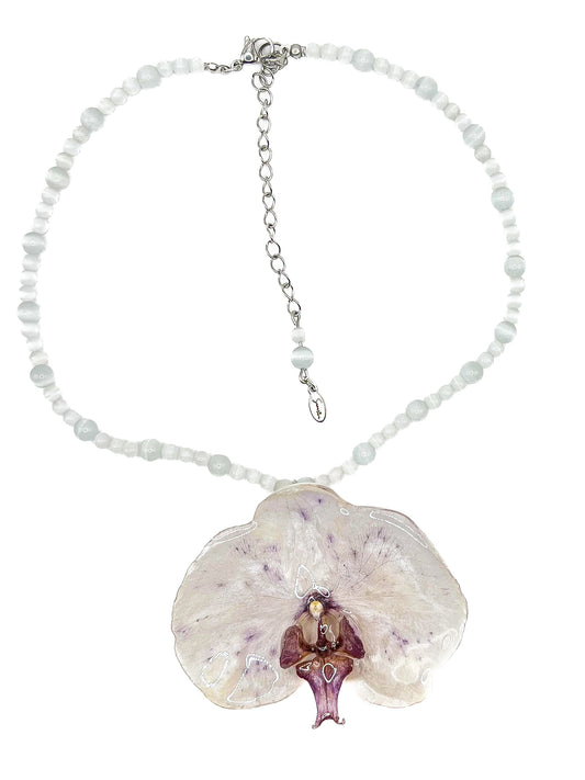 Violeta
