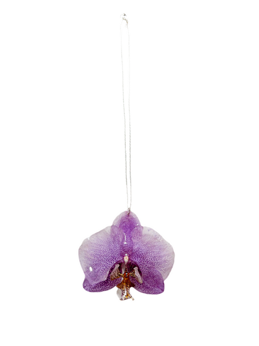 Reina Violeta