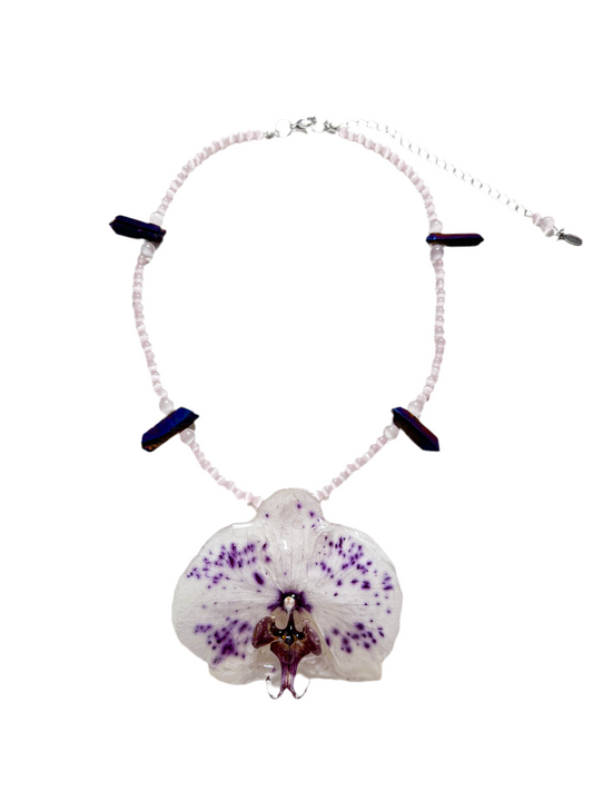 Cielo de Iris