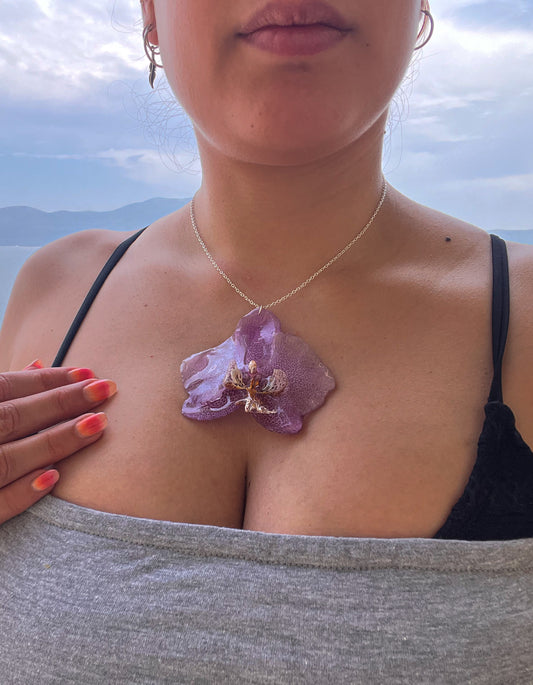 Reina Violeta