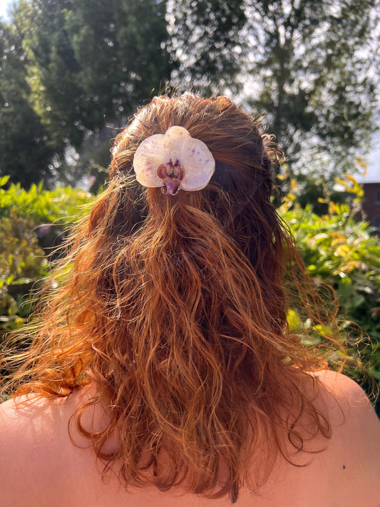 Perla Clip