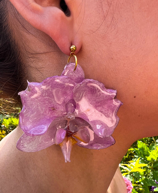 Pendientes Amatista Celestial