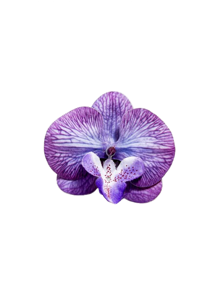 Orquídea artificial Clip